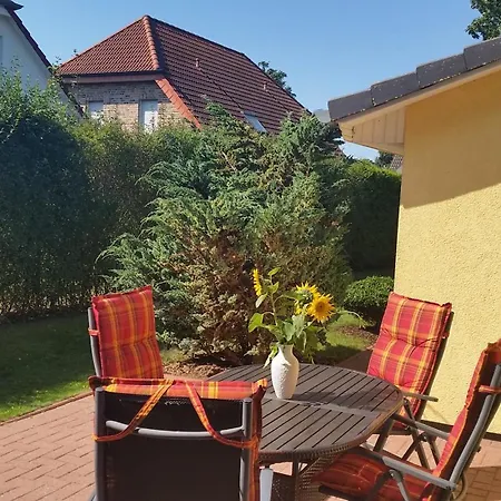 Sonnenblume - Sonne 1 Links Zingst