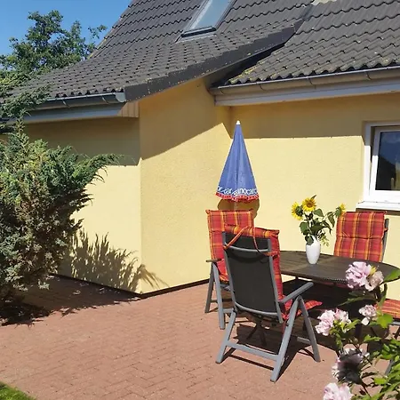 Sonnenblume - Sonne 1 Links Zingst