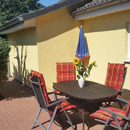 Sonnenblume - Sonne 1 Links *