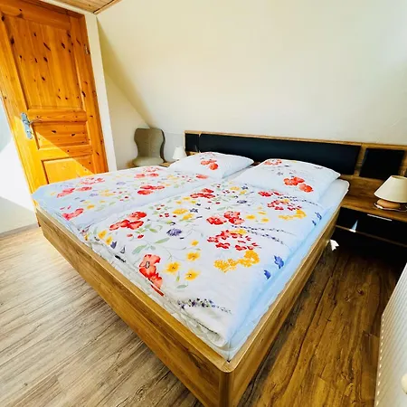 Sonnenblume - Sonne 1 Links Zingst