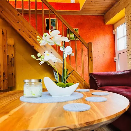 Sonnenblume - Sonne 1 Links Zingst